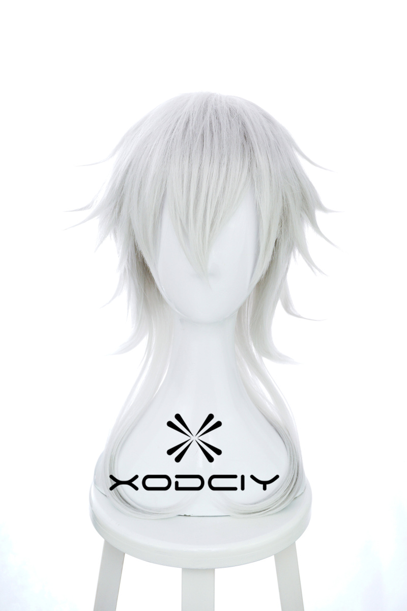 Wig Cosplay Anime Touken Ranbu - Men Accessories Online ulasan dan harga